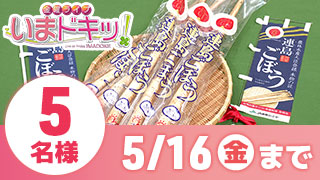【5/9放送 いまドキッ！】
「連島ごぼう 5本」を5名様にプレゼント！