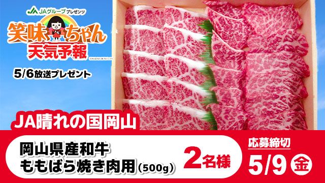 RSKアプリ