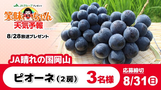 RSKアプリ